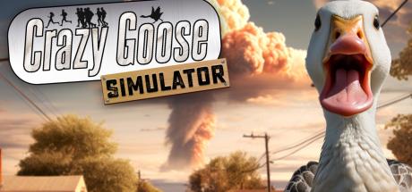 Crazy Goose Simulator Cover