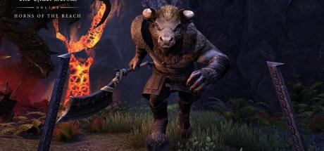 The Elder Scrolls Online: Horns of the Reach Cover