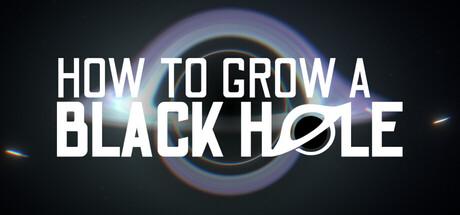 How to Grow a Black Hole Cover