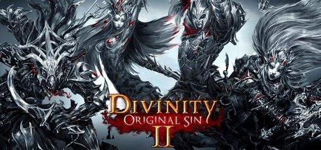 Divinity: Original Sin 2 Divine Ascension Cover