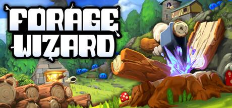 Forage Wizard Cover