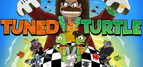 Tuned Turtle Cover