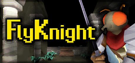FlyKnight Cover