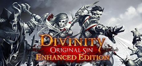 Divinity: Original Sin - Enhanced Edition Collector's Edition Cover