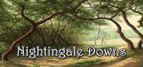 Nightingale Downs Cover