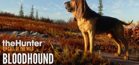 theHunter: Call of the Wild - Bloodhound Cover