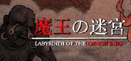 Labyrinth Of The Demon King Cover