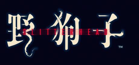 Slitterhead Cover