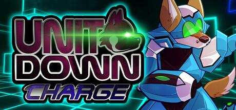 Unit Down Charge Cover