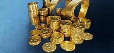 The Crew Motorfest Platinum Paket Cover