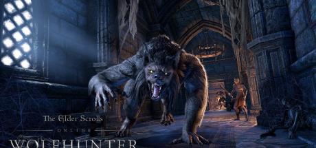 The Elder Scrolls Online: Wolfhunter Cover