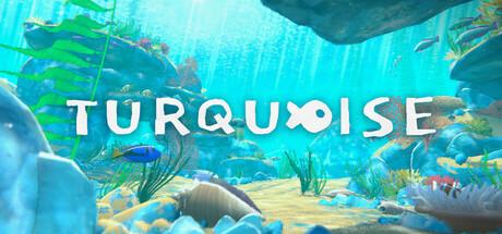 Turquoise Cover