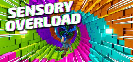 Sensory Overload Cover