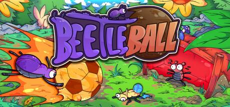 Beetleball Cover