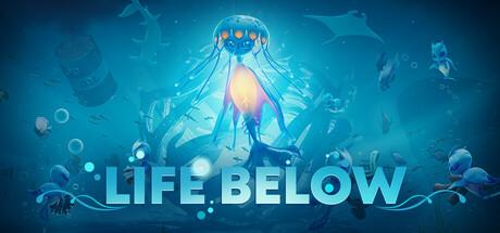 Life Below Cover