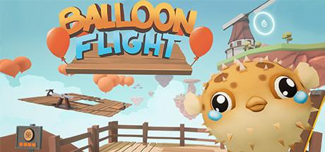 Balloon Flight Cover