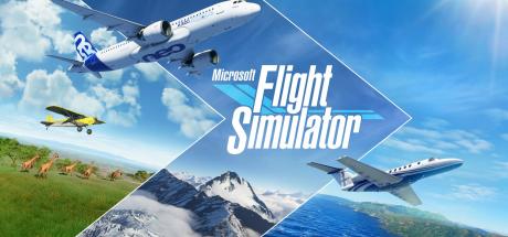 Microsoft Flight Simulator Deluxe Game of the Year Edition Cover