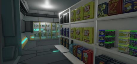 Legitimate Space Corp Simulator LLC Cover