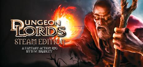 Dungeon Lords Steam Edition Cover