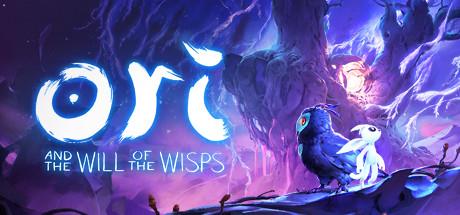 Ori and the Will of the Wisps Collectors Edition Cover