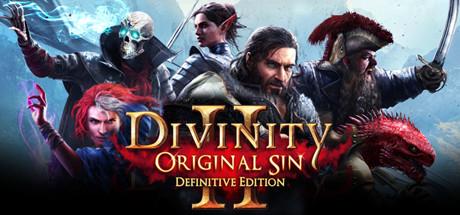 Divinity: Original Sin II Cover