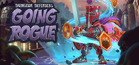 Dungeon Defenders: Going Rogue Cover