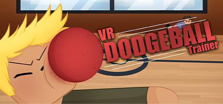 VR Dodgeball Trainer Cover